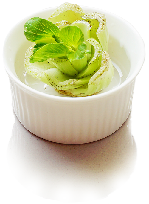 Celery leaves growing out of a stump in a small bowl
