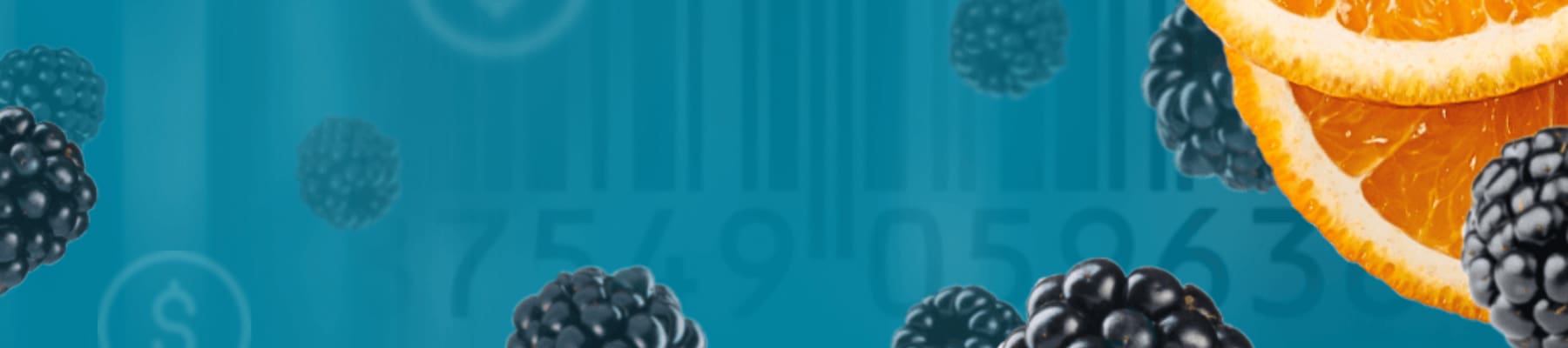 Online Grocery Pricing Research 2023